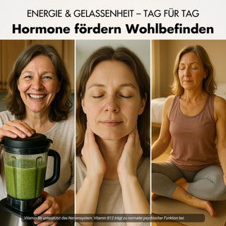 Menopauze capsules - Meno Balance - Natuurlijke formule met yamswortel, rode klaver, valeriaan & ijzer