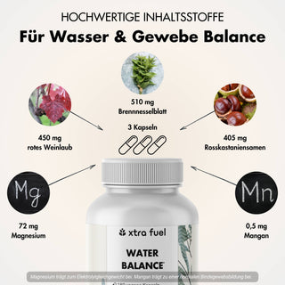 Water Balance - 5-in-1 voedingsstoffencomplex voor elektrolytenbalans & lichte benen*